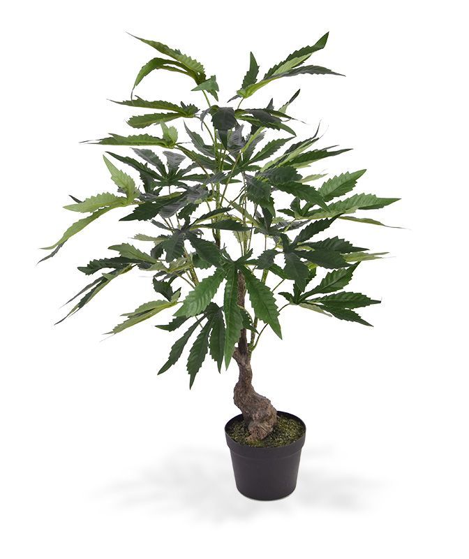 grand bac à plantes extérieur Pot pour fleur bac cube bois exotique Valencia - extérieur jardin main image 0