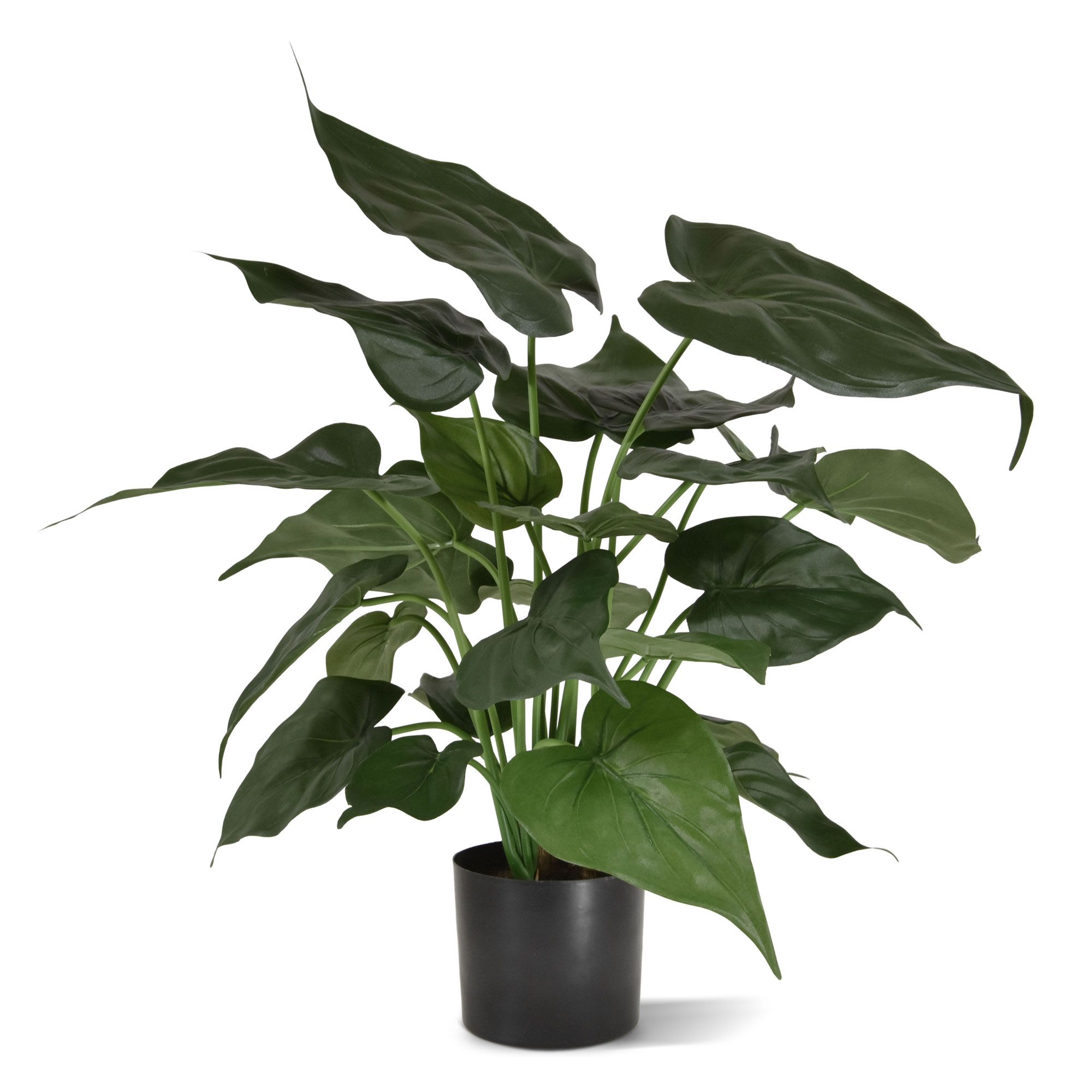 Alocasia Cucullata artificial plant 50cm | very realistic | Maxifleur