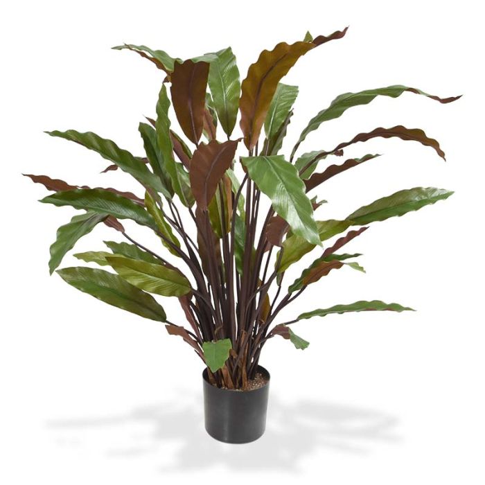 Very realistic artificial Calathea plant 60cm, Maxifleur artificial plants