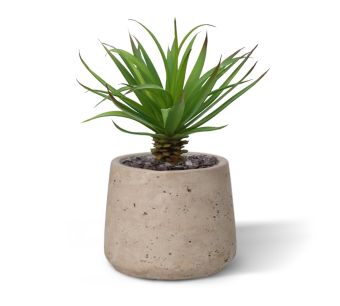 Small artificial plants | Looks just like Genuine | Maxifleur